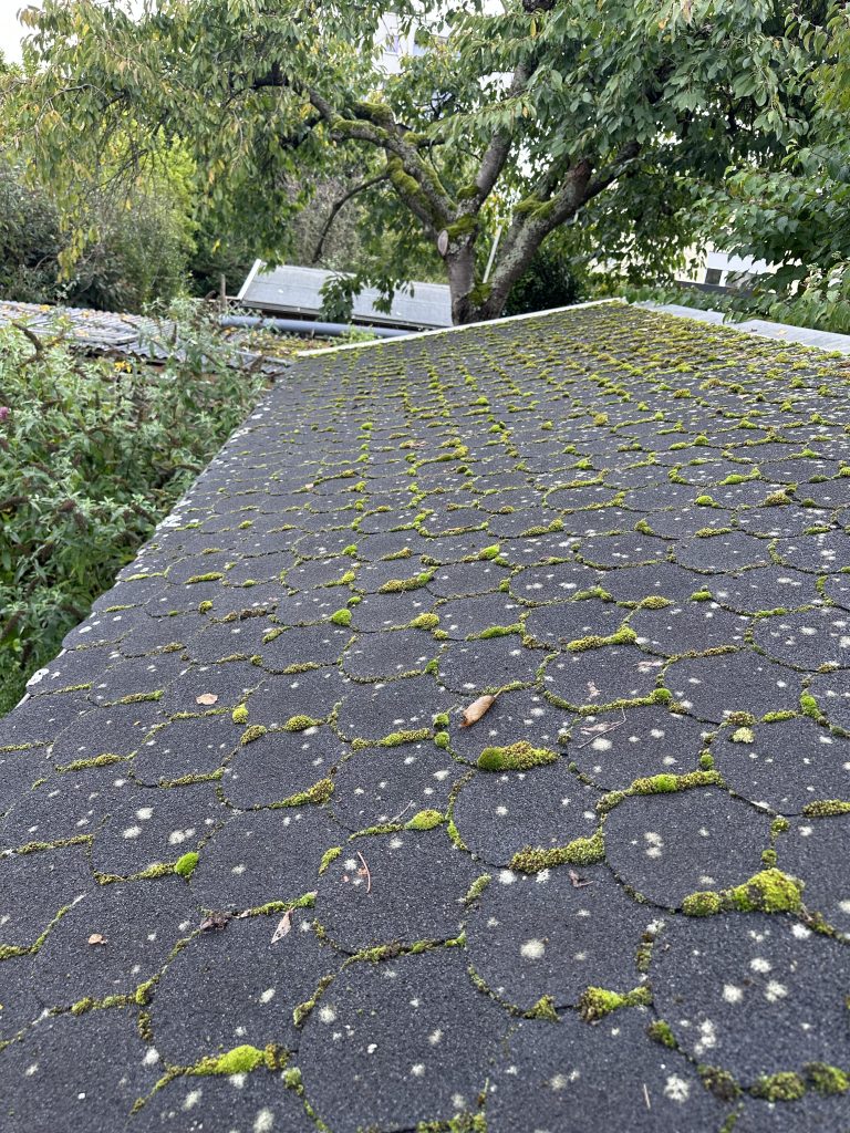 Dach mit starker Moos- und Flechtenbildung – Gefahr für Dachmaterial und Entwässerung