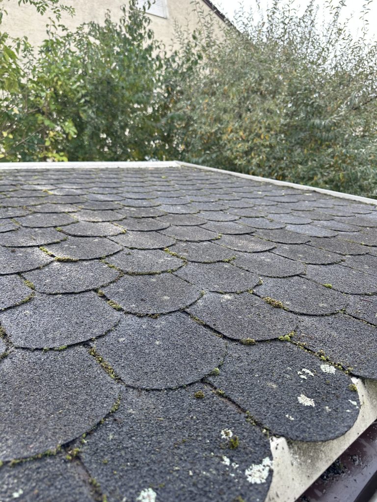Vermoostes Flachdach mit dunklen Ablagerungen und Flechten auf Bitumenschindeln